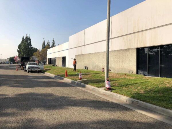 Commercial Tree Services, Newport Beach Tree Services