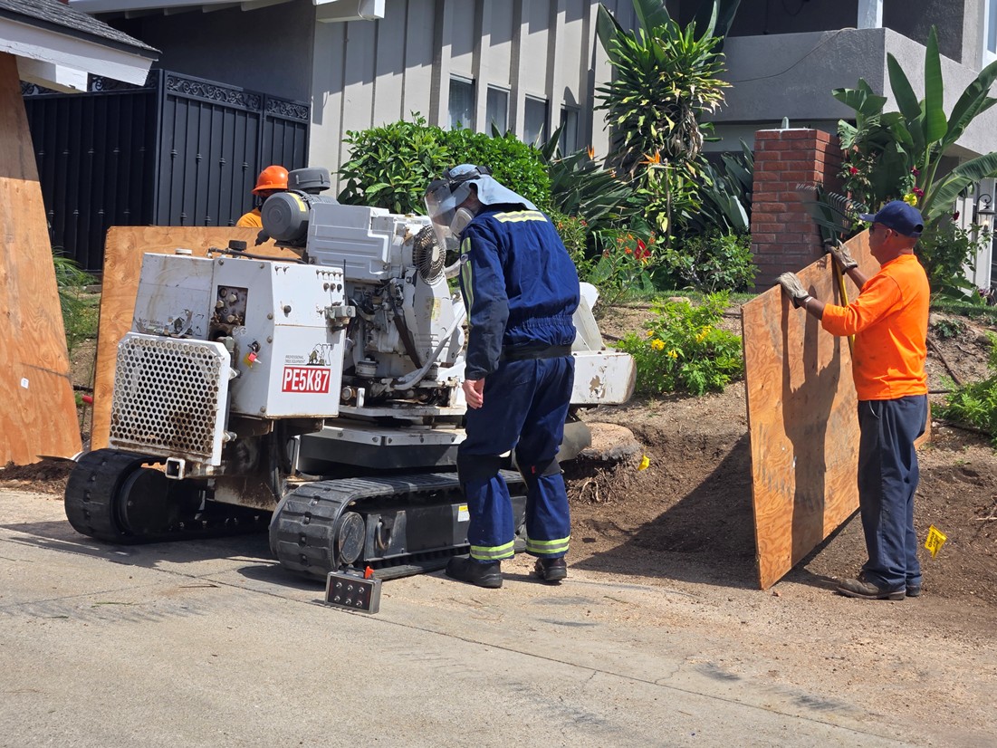 Stump Grinding & Removal, Newport Beach Tree Services