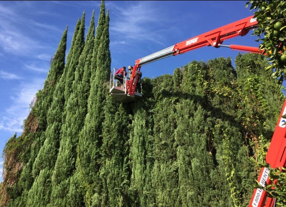 Contact us for top-quality tree service in Southern California. Get a free estimate & improve your tree health. (949) 942-1288 Newport Beach